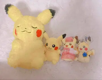 포켓몬 피카츄 묶음 판매