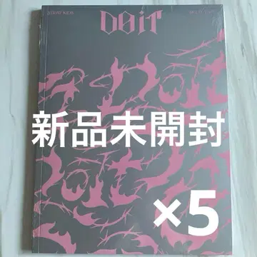 Stray Kids 스키즈 DO IT 일반 ver. IT ver.