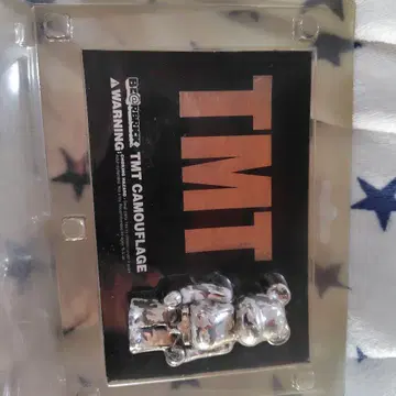 TMT CAMOUFLAGE 베어브릭