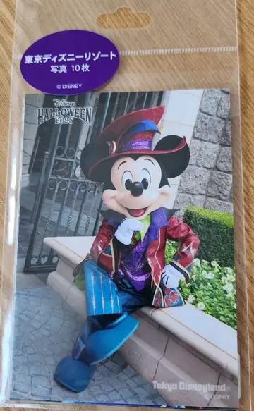 디즈니 할로윈 2025 사진 10장 세트