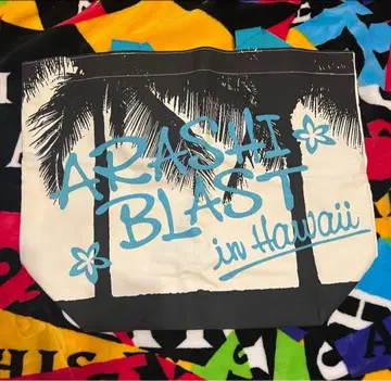 아라시 ARASHI BLAST in Hawaii 투어백 하와이