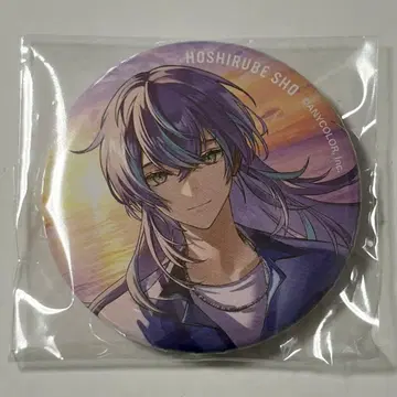 니지산지 HEROES 바다의 집 복권 호시미치 쇼 캔뱃지 x 10