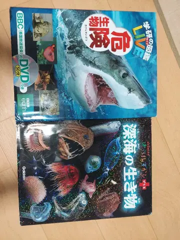 학습연구사 도감 LIVE 위험 생물 심해의 생물