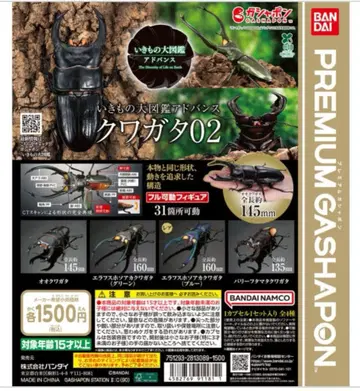 생물대도감 어드밴스 사슴벌레 02