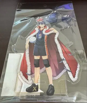 하이큐!! TOUCH THE DREAM 하이드리 카게야마 토비오