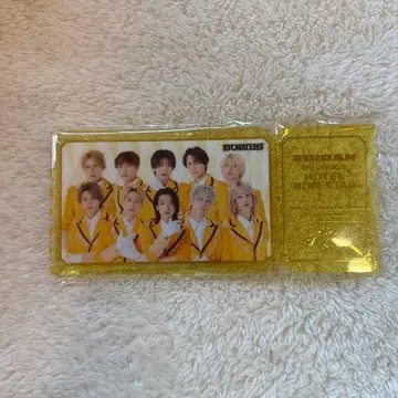 BUDDiiS 에비라이 아크릴 플레이트 티켓