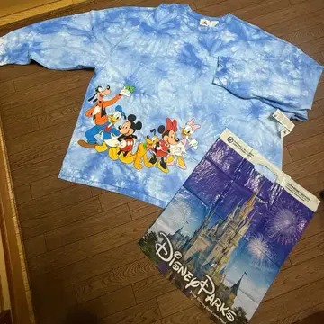 Walt Disney World 스피릿 저지