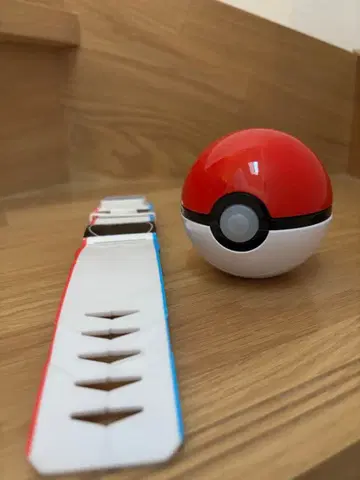 확실히 겟이다! 몬스터볼 고!