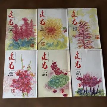 숭교진광 진광지 250~255호 6권 세트