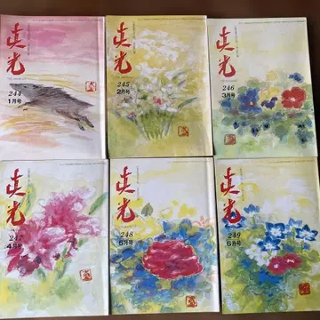 숭교진광 진광지 244~249호 6권 세트