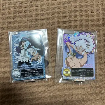 ACLLECT 루피 아오키지