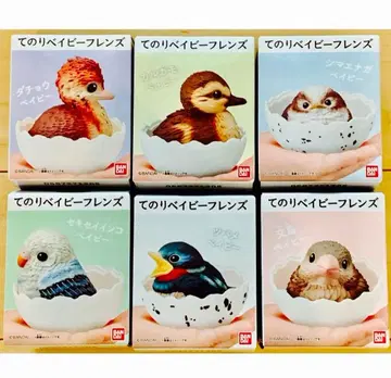 미사용 새상품 테노리 베이비 프렌즈 6종 컴플리트 시마연가 문조 작은 새
