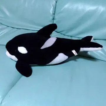 범고래 봉제 인형 약 50cm