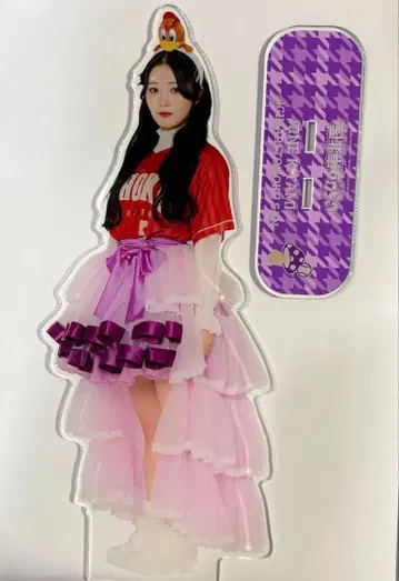 이걸리 x 라쿠텐 이글스 콜라보 특대형 아크릴 스탠드 키타미 리네