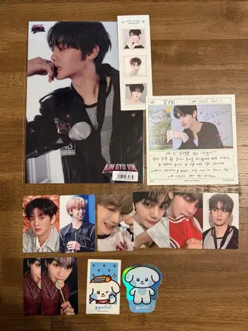 ZEROBASEONE 제베원 규빈 트레이딩 카드 포스터 규니니 스티커