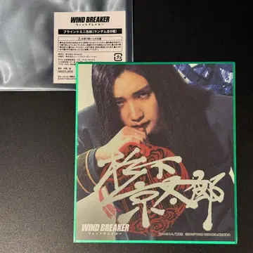 영화 wind breaker 미니 색지 스기시타 쿄타로 JUNON 윈브레