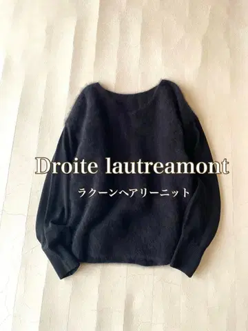Droite lautreamont 소매 절개 라쿤 헤어 니트