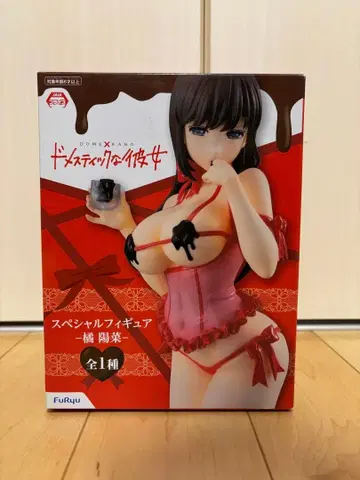 도메스틱한 그녀 타치바나 히나 피규어