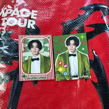 카와무라 카즈마 카드 세트