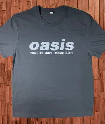 미착용 oasis [morning glory] T셔츠 그레이 L 사이즈