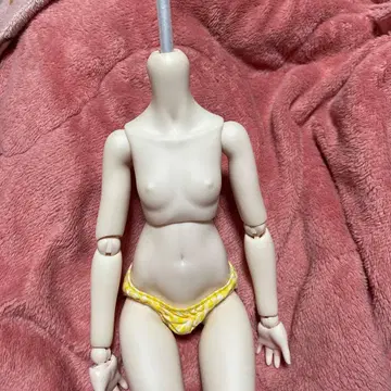 MDD 베이스 바디 세미 화이트 스킨 미니 돌피드림