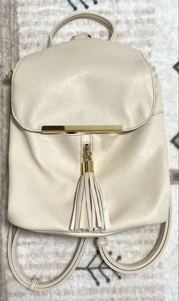 백팩 스킨 컬러