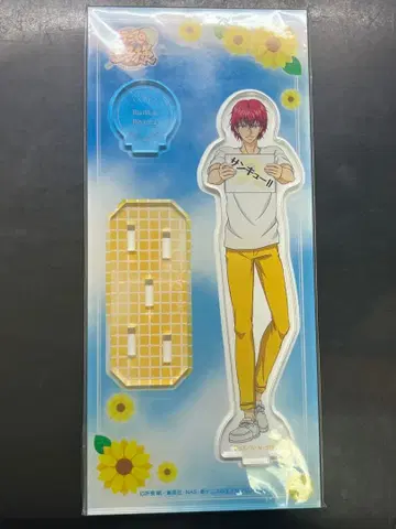 신 테니스의 왕자님 마루이 분타 아크릴 스탠드