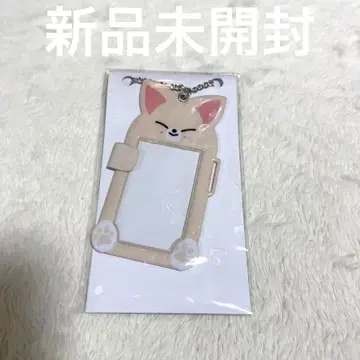 Stray Kids 스키즈 SKZOO 폭시니 트레이딩 카드 케이스