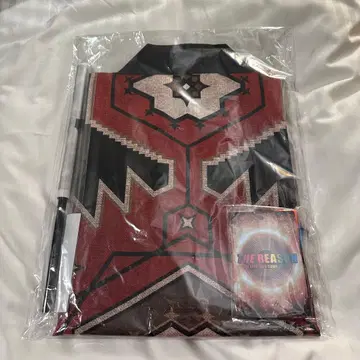 EXILE THE REASON 업그레이드 굿즈 핫피 플래그 패스