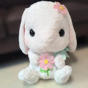 포테우사 롯삐 코스모스 리본 소유 한정판