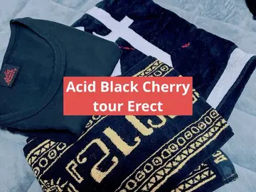 [새상품급] Acid Black Cherry tour Erect 3점