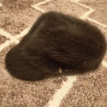 TREASURE 모코모코 캡 브라운