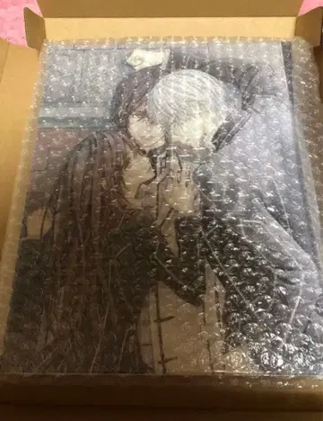 뱀파이어 기사 캔버스 히노 마츠리 원화전 LaLa