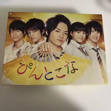 핀토코나 DVD BOX (8매)