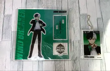 윈드 브레이커 사쿠라 하루카 아크릴 스탠드 빅 택 베이스 야드