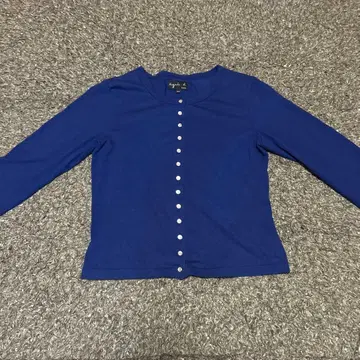 에네스베 로얄 블루 버튼 가디건
