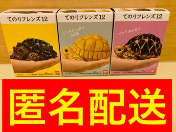 테노리 프렌즈 12 거북이 3종 세트