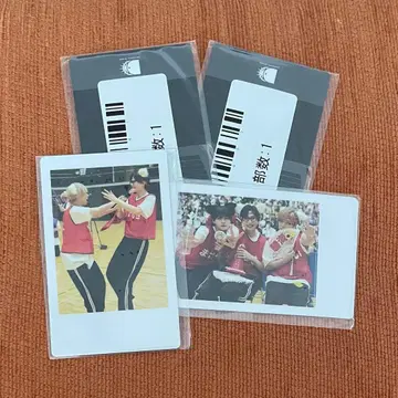 DD 대운동회 스크래치 하피카 Mesemoa. 팬더드래곤 ReLIT