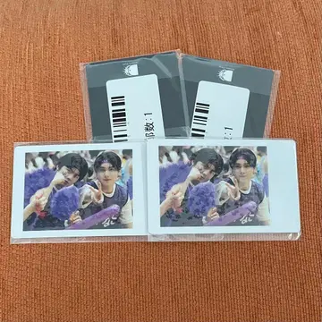 DD 대운동회 스크래치 하피카 팬더드래곤 ReLIT