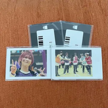 DD 대운동회 스크래치 하피카 Mesemoa.