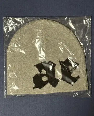 aespa 아레나 투어 굿즈 비니