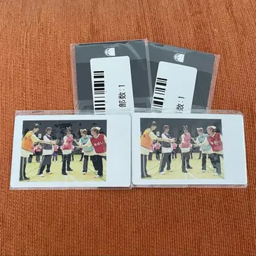 DD 대운동회 스크래치 하피카 Mesemoa.