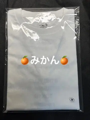 FEELS. 우에스기 슈헤이 팝업 티셔츠 M 사이즈 화이트 미개봉 새상품