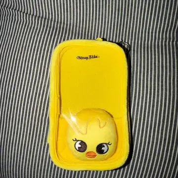 Steady Kids 스키즈 보카리 아크릴 스탠드 케이스