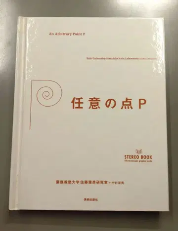 임의의 점 P : 3D 스테레오 북