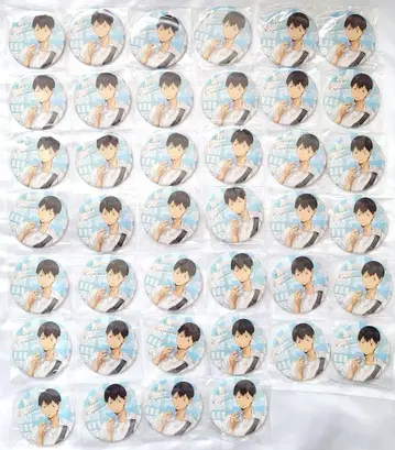 하이큐 카게야마 토비오 요리미치 캔뱃지 40개