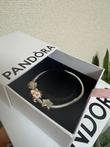 판도라 스타 실버 팔찌