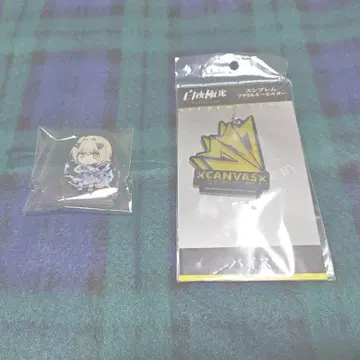 백야극광 바이스