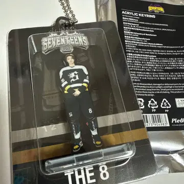SEVENTEEN's HOME 아크릴 키링 THE8 미호