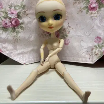 풀립 구형 바디 커스텀용